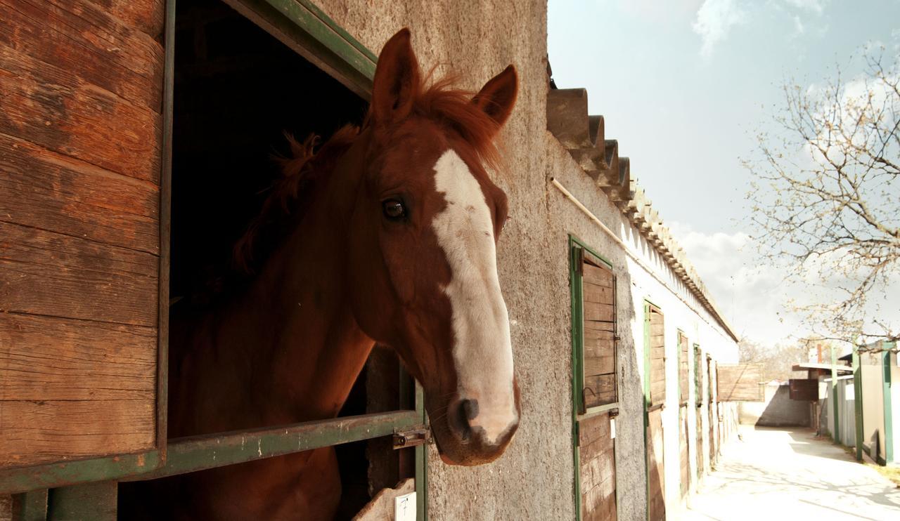 Agriturismo Fasano Cassano delle Murge Eksteriør billede