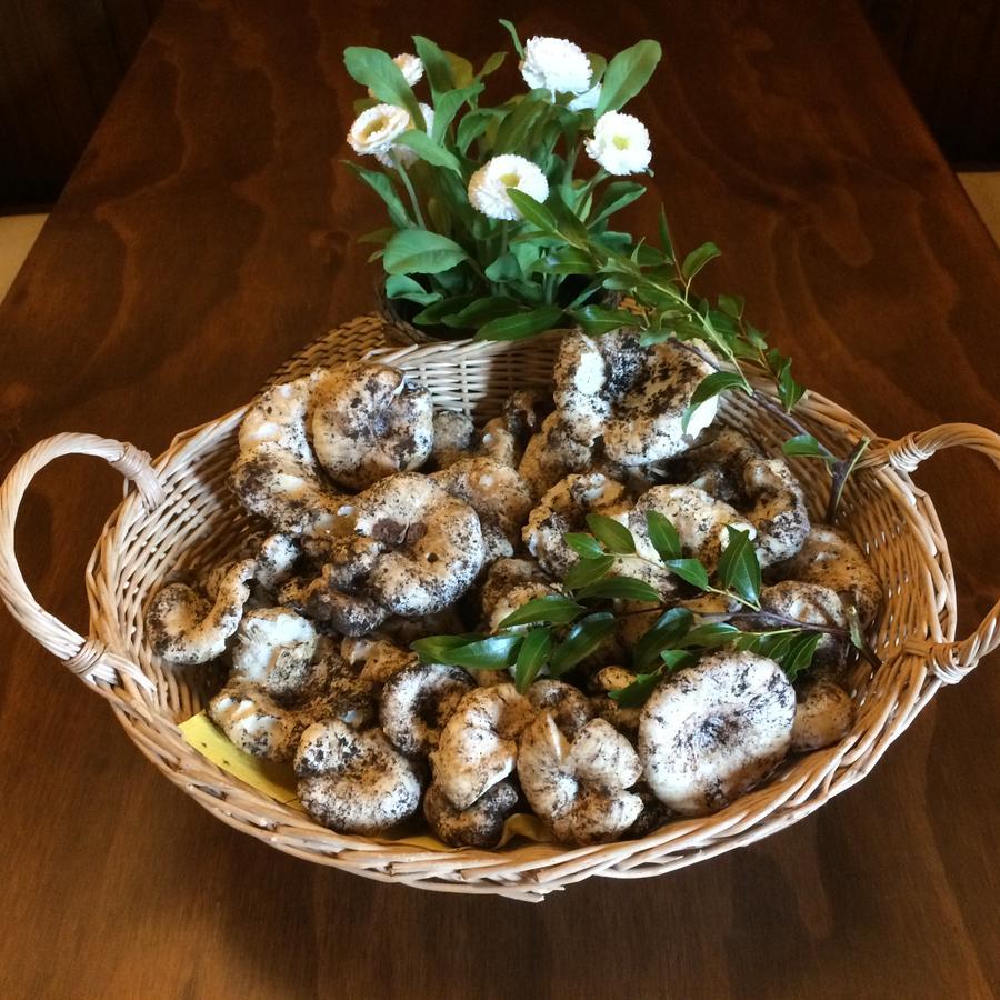 Agriturismo Fasano Cassano delle Murge Eksteriør billede